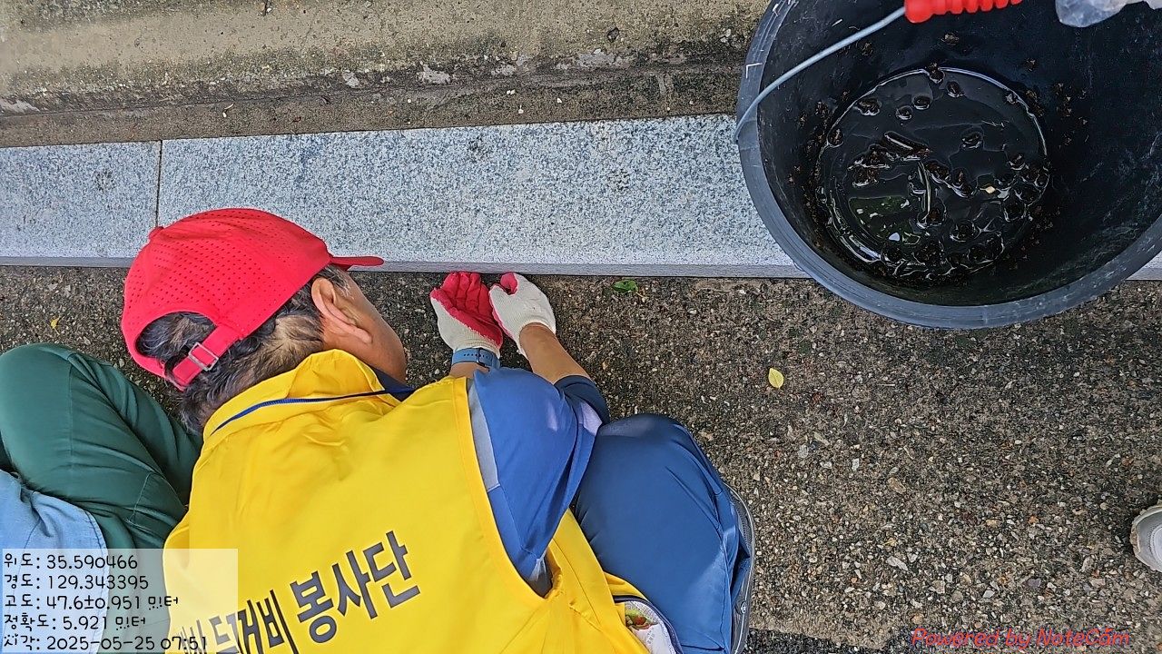 황방산 두꺼비 보호 활동 모습. 사진은 지난해 봄 촬영된 것이다. 사진 울산 중구 