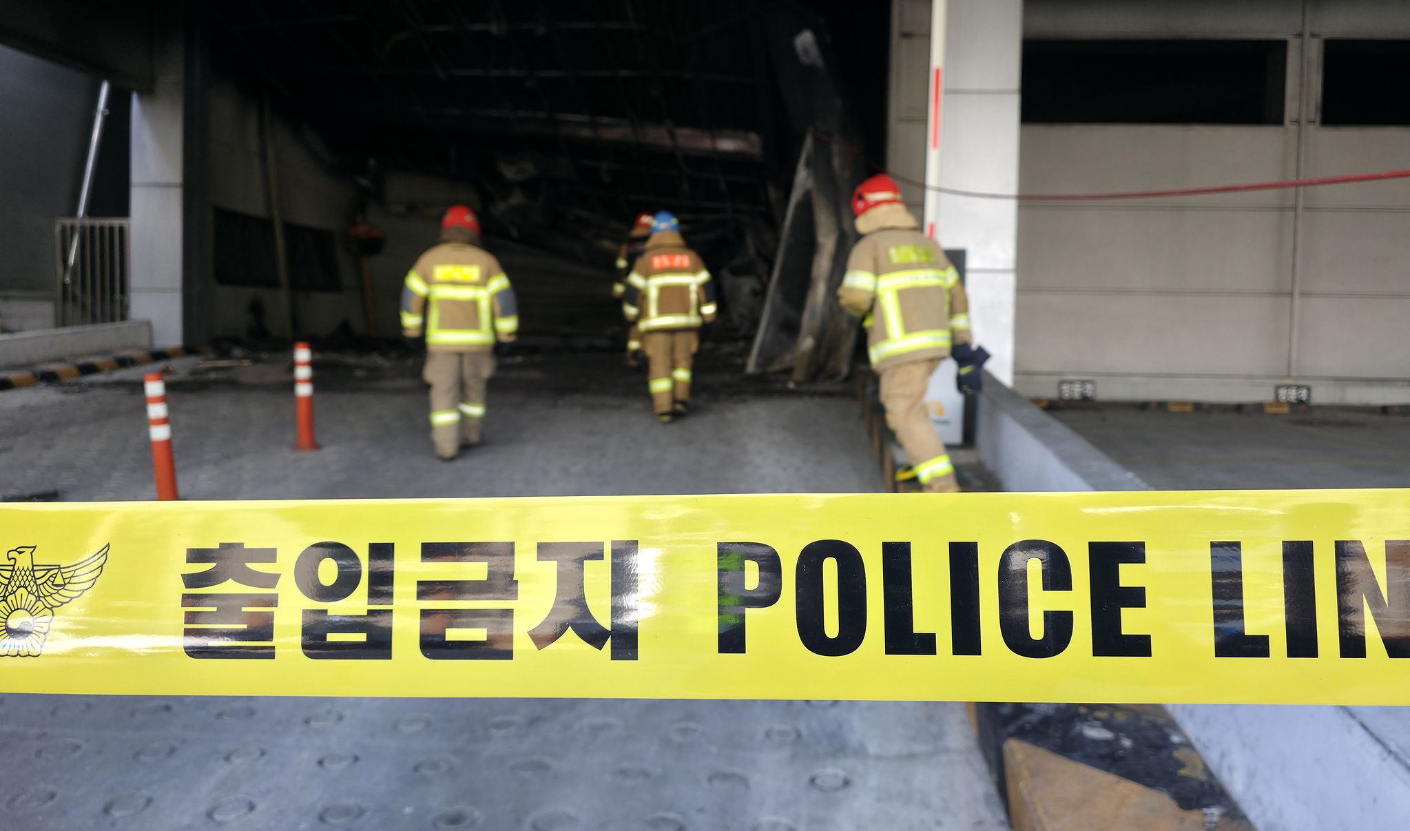 김성태 객원기자