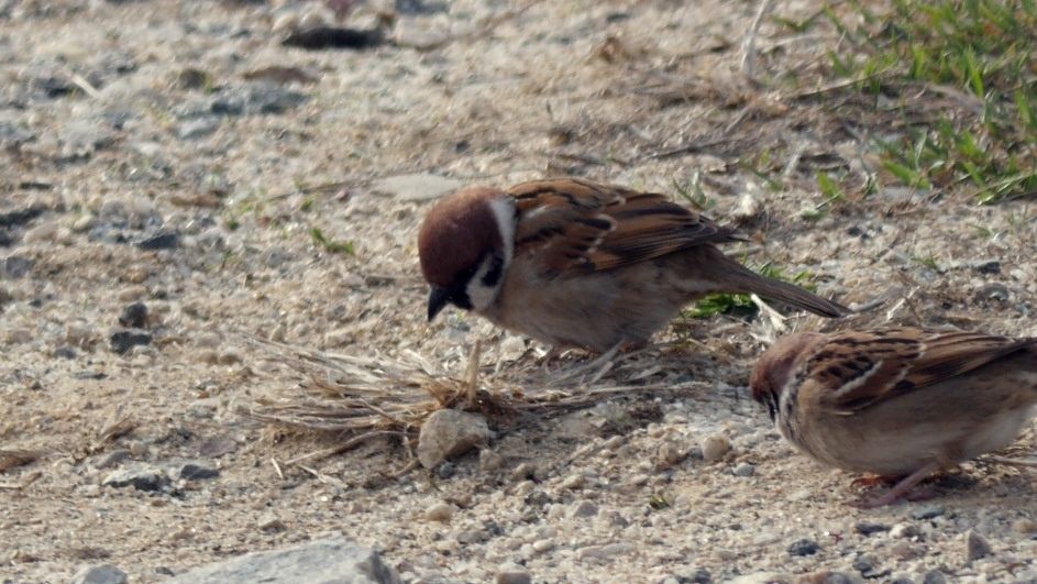 국립생물자원관