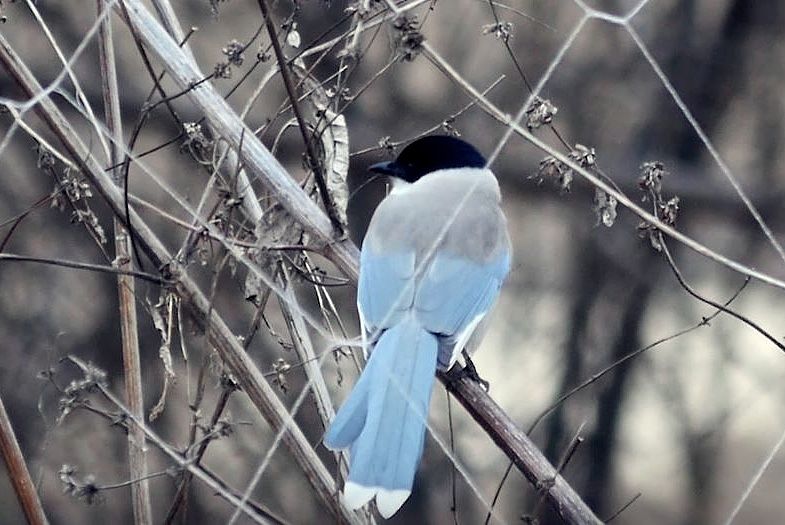 국립생물자원관