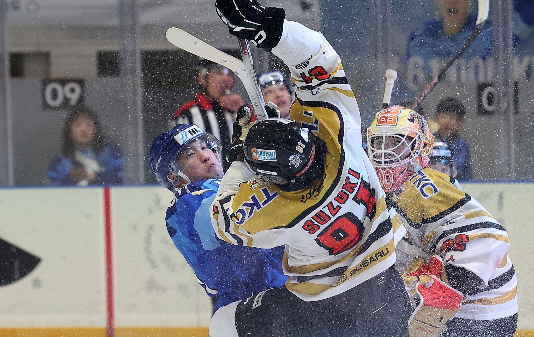 아이스하키 HL 안양이 아시아리그 5시즌 연속 파이널에 진출했다. 사진 HL 안양