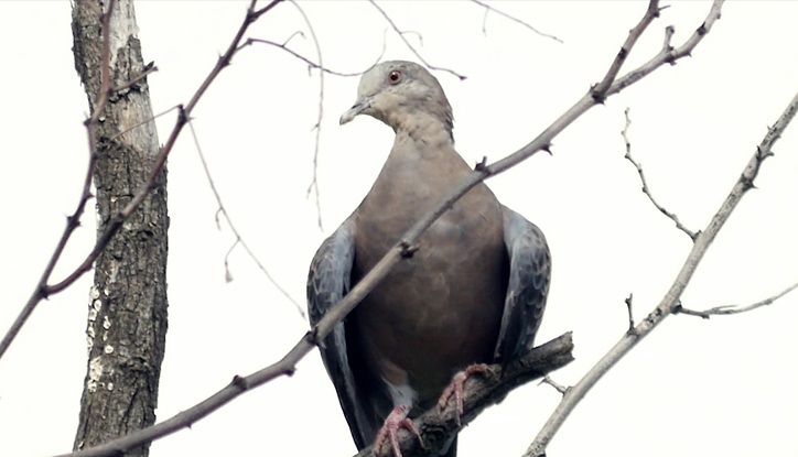 국립생물자원관