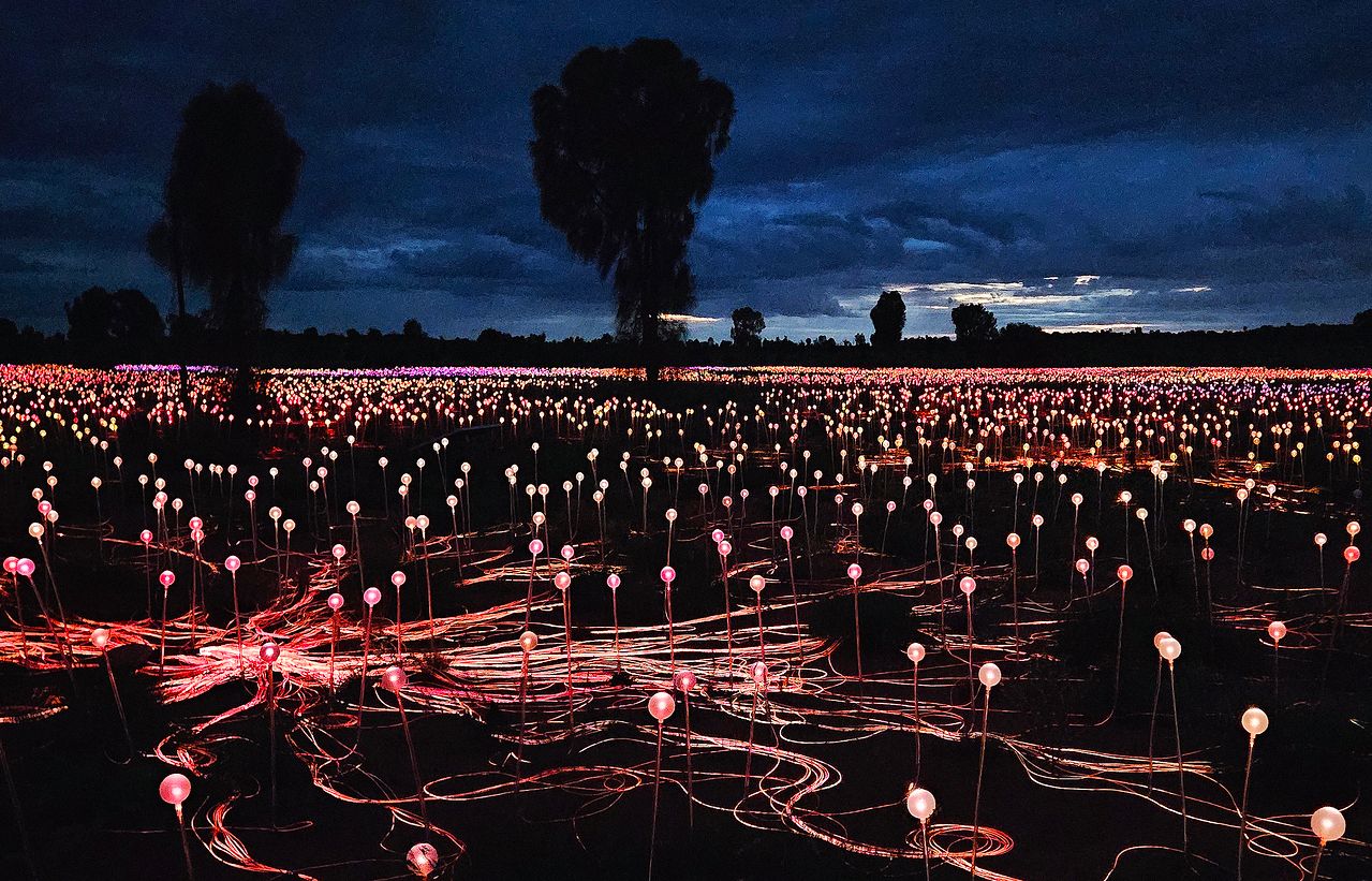 브루스 먼로의 조명 설치 작품 '필드 오브 라이트.' 축구장 7개 면적에서 5만 개가 넘는 유리 조명으로 깜깜한 아웃백을 꽃밭처럼 연출한다. 손민호 기자