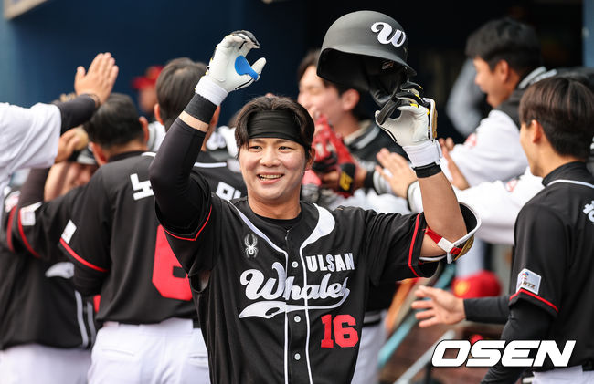 울산 웨일즈 제공