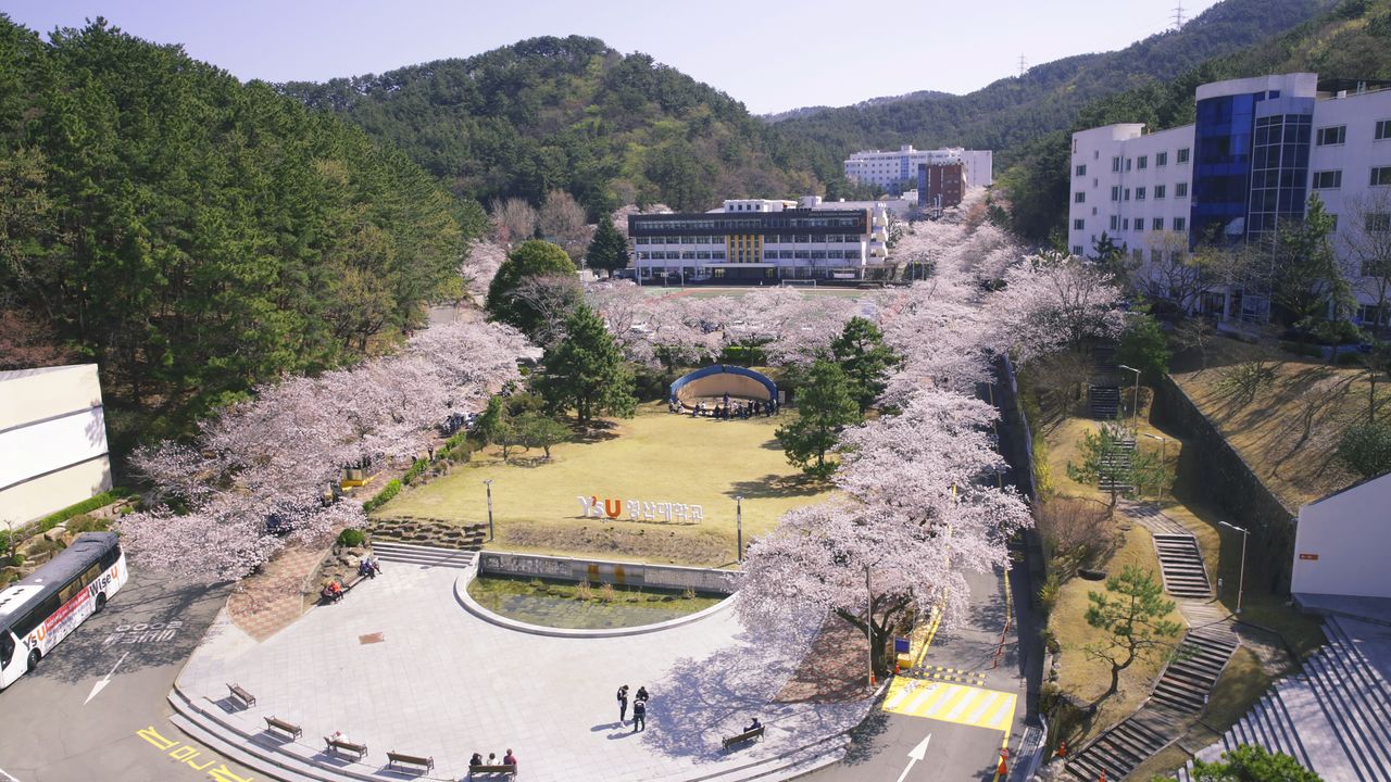 영산대학교 해운대캠퍼스 전경 사진.
