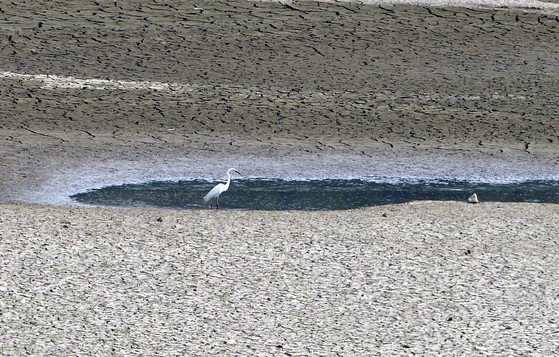 2017년 가뭄으로 바닥을 드러낸 보령댐. 중앙포토