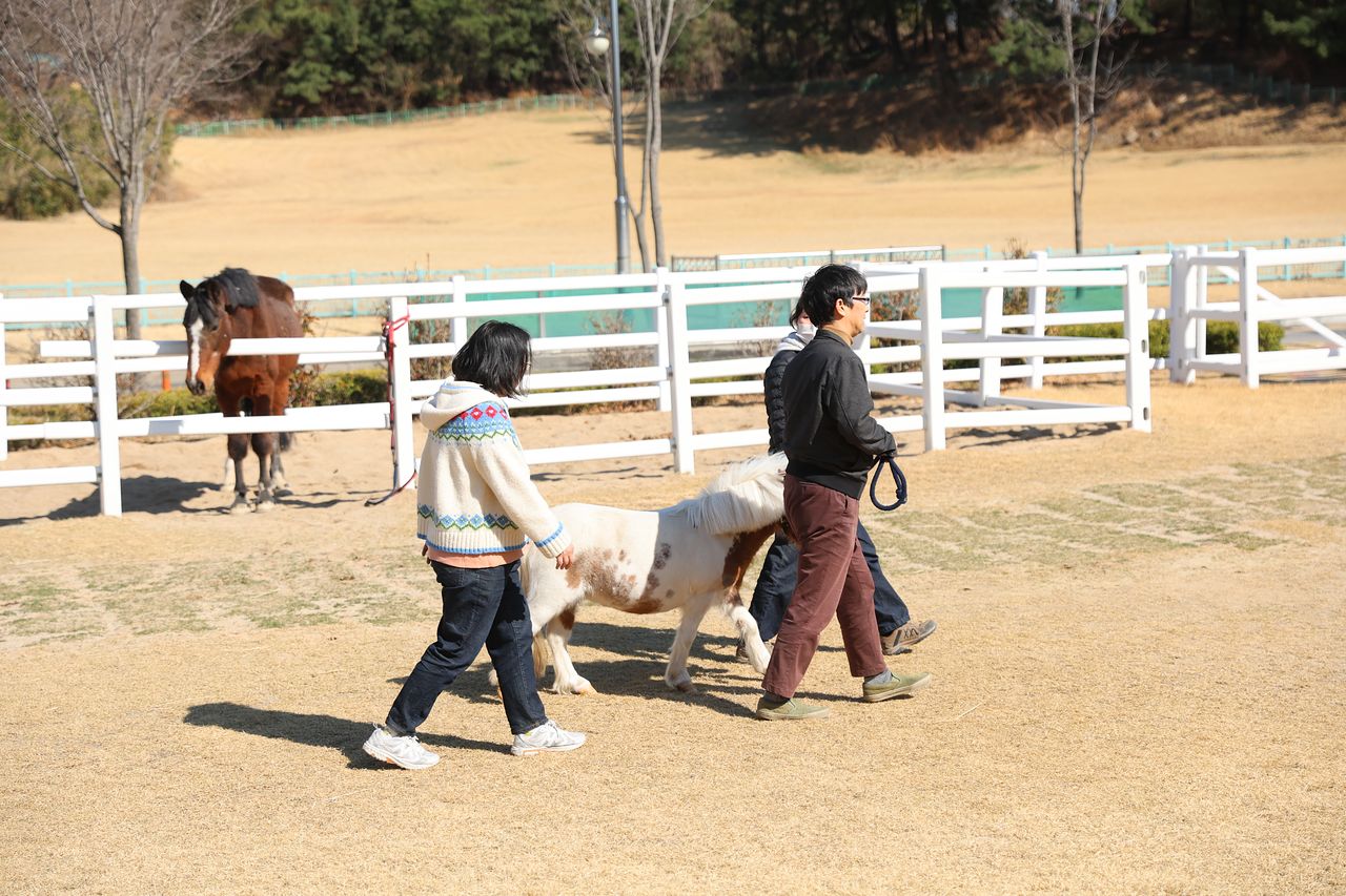 조현병을 앓고 있는 환우들이 지난 20일 렛츠런파크 부산경남 경마장을 찾아 말과 함께 산책을 하고 있다. 사진 한국마사회 