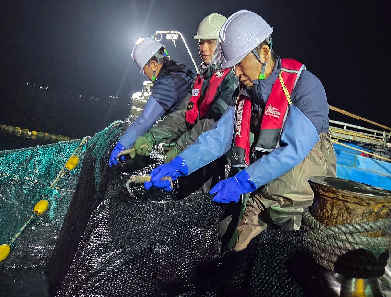 정청래 더불어민주당 대표가 28일 새벽 경북 영덕 앞바다에서 조업에 참여해 물고기로 가득 찬 어망을 끌어 올리고 있다. [국회기자단 공동취재]