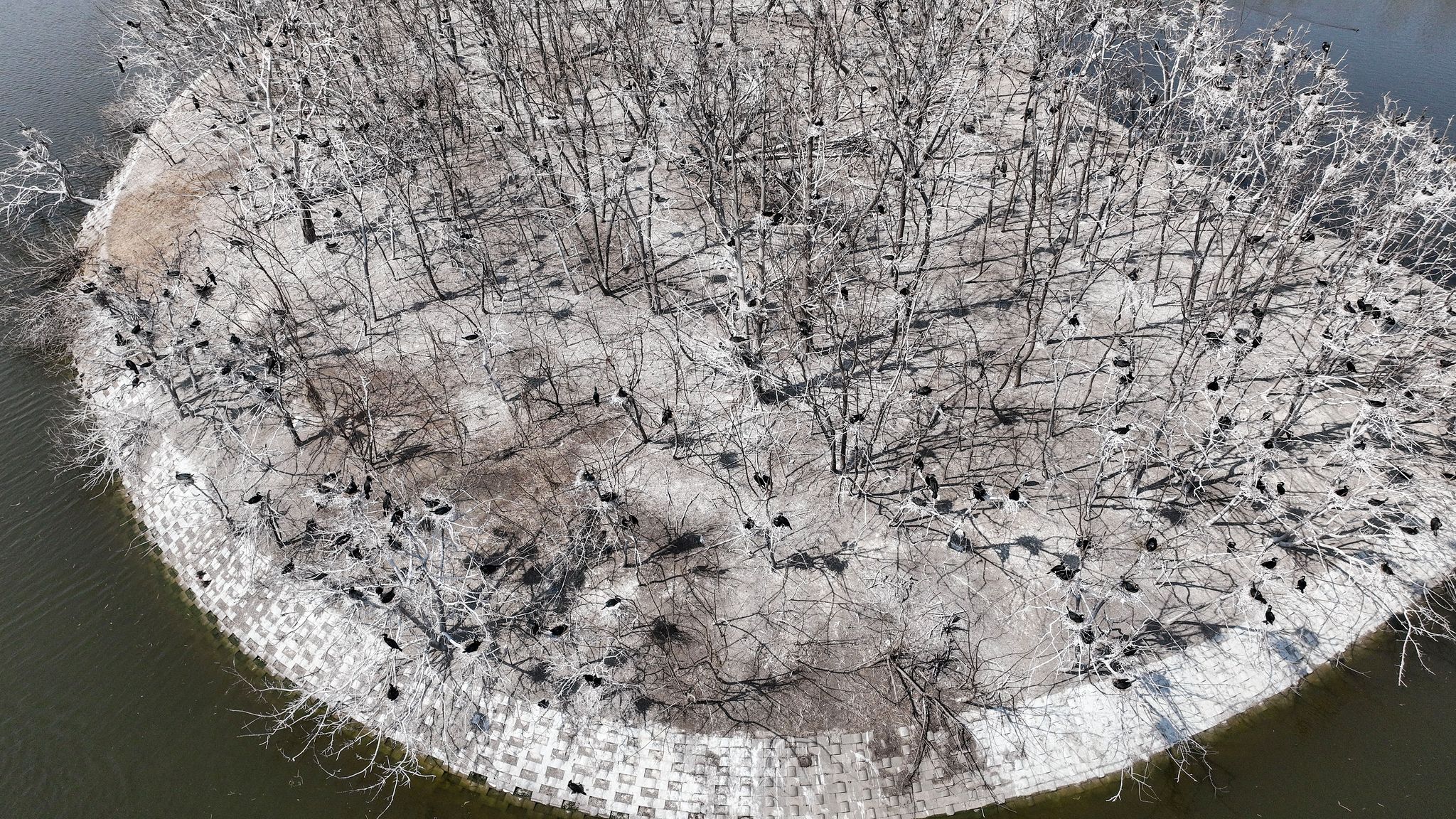 드론을 이용해 가까이 다가가서 본 서호공원 인공섬.