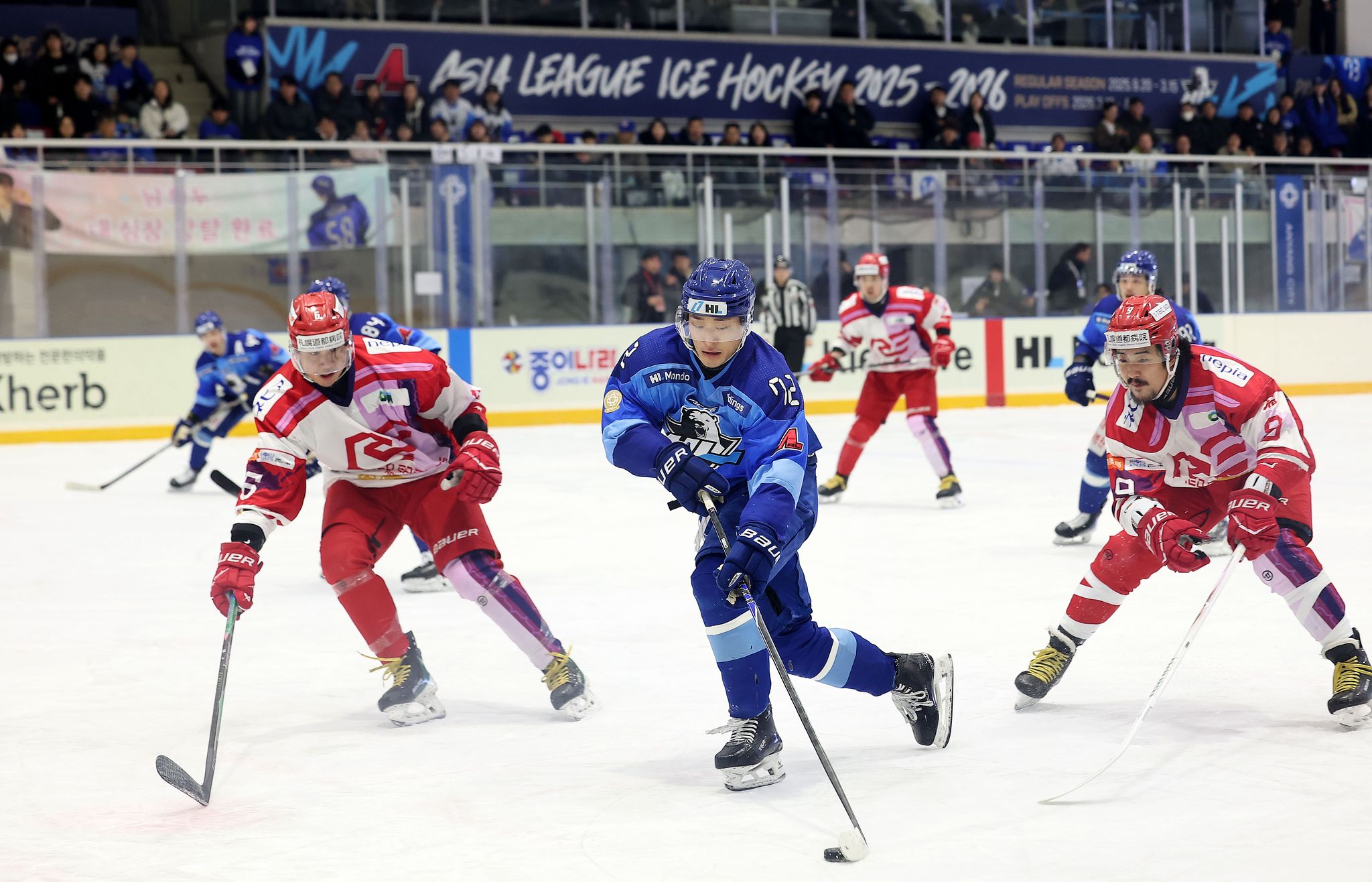 아이스하키 HL 안양이 아시아리그 파이널 2연패를 당하며 벼랑 끝에 몰렸다. 사진 HL 안양