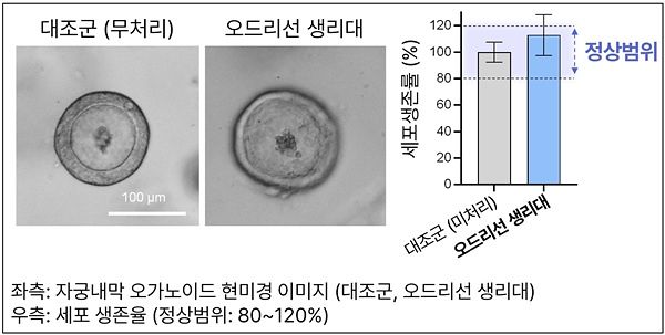  (사진 제공=연세대학교 줄기세포 연구실)