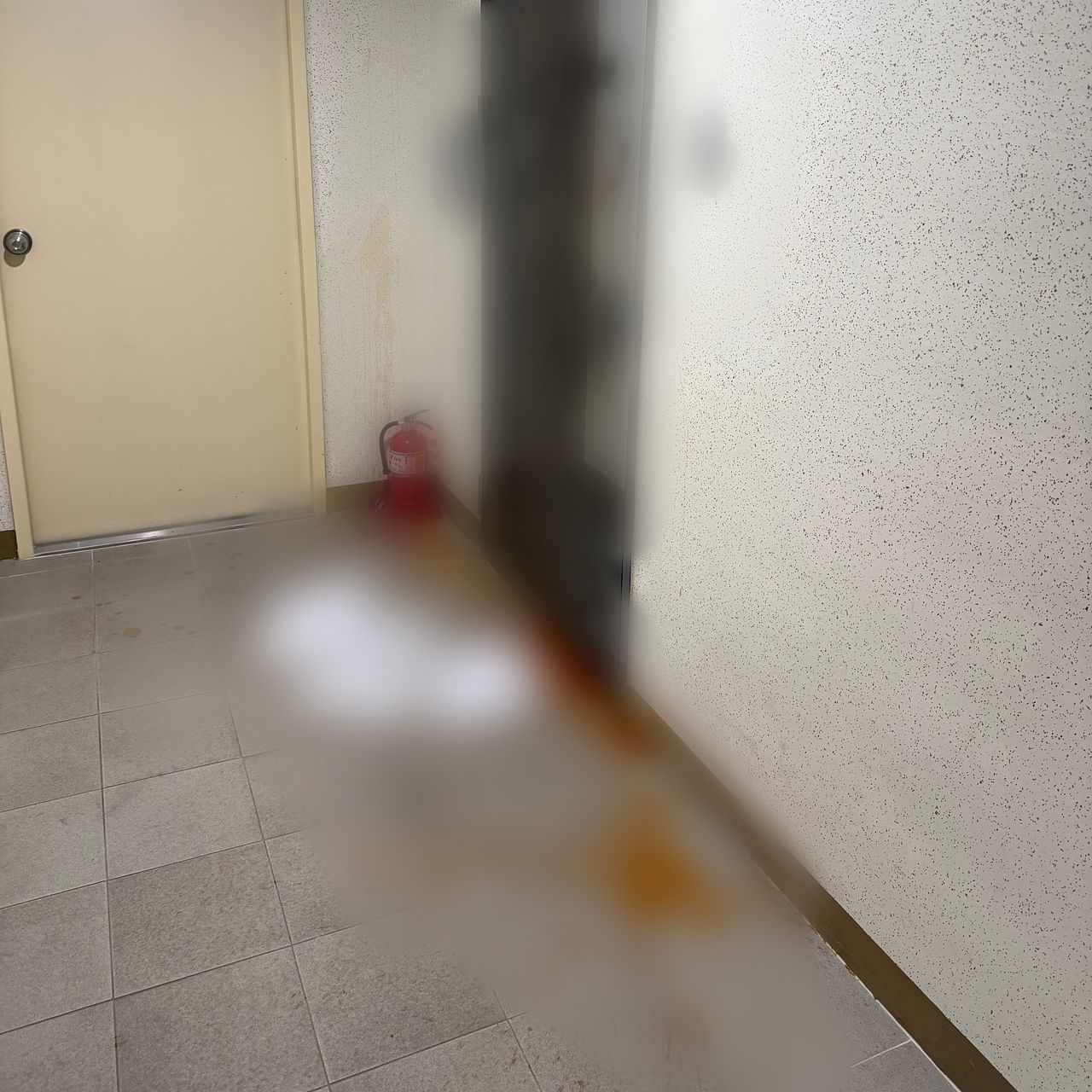 지난 1월 수도권에 거주하는 A씨의 집에 인분과 전단이 뿌려져 있다. 사진 독자