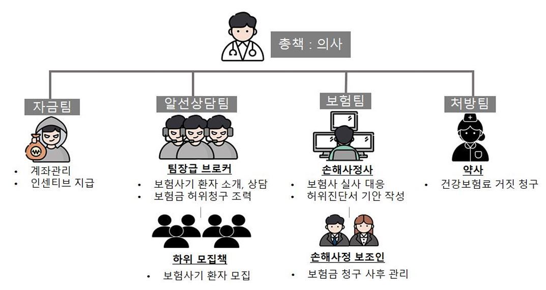 보험사기 현황. 사진 금융감독원 제공