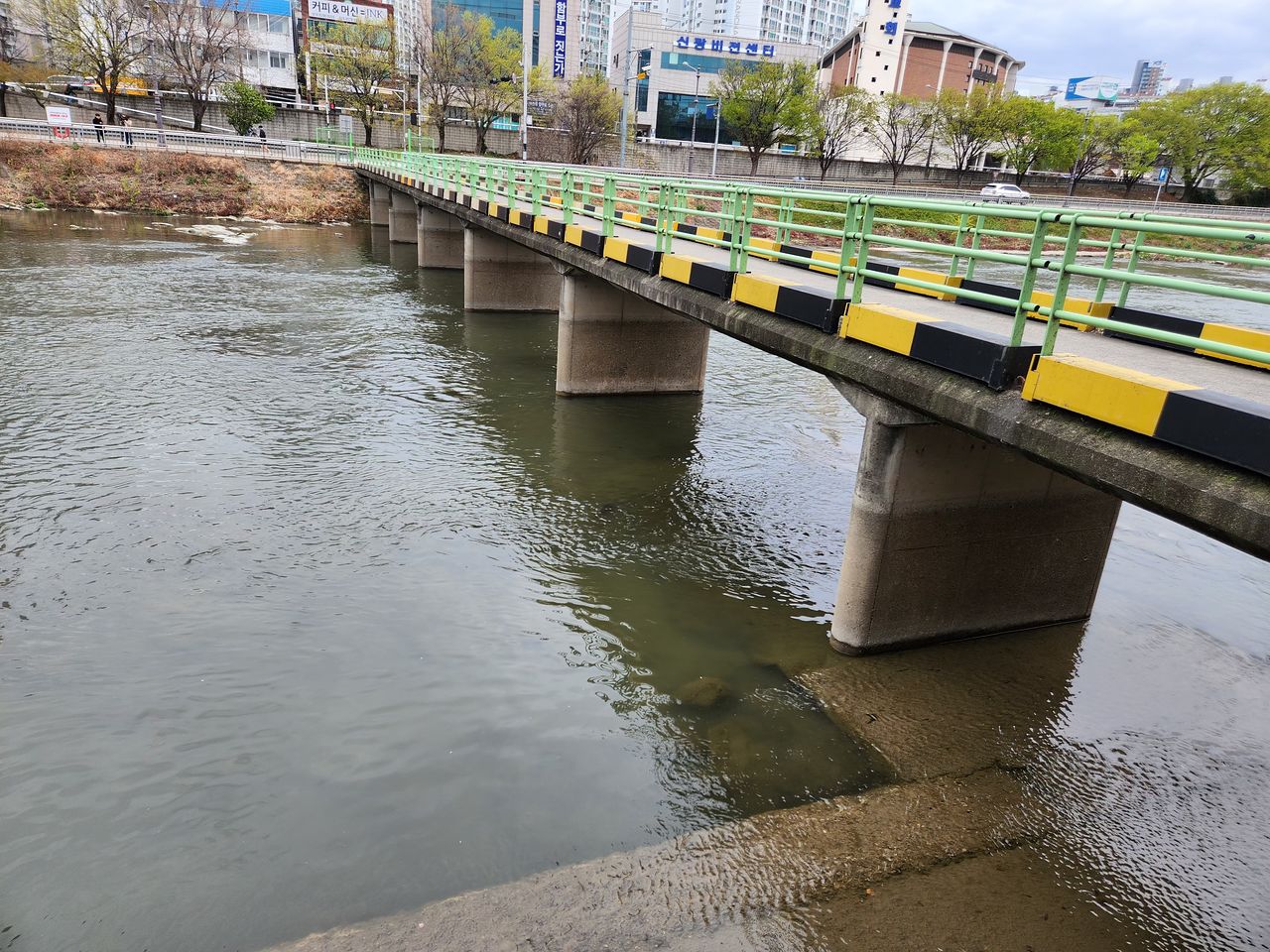 31일 대구 신천 잠수교 아래에서 여성 시신이 담긴 캐리어가 떠다닌다는 신고가 접수됐다. 독자 제공
