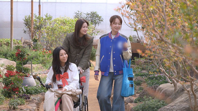 KBS 제공