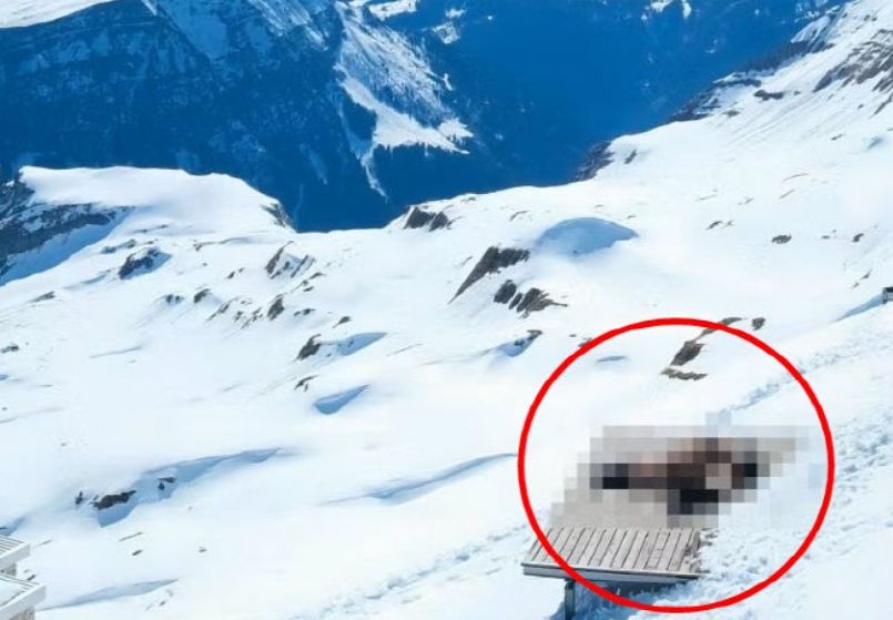 20미누텐 홈페이지 캡쳐