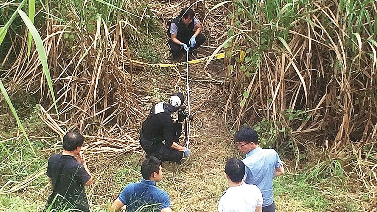 2016년 10월 11일, 필리핀 북부 한 사탕수수밭에서 박왕열에게 살해된 피해자 3명의 시신이 발견됐다. 필리핀 코리안데스크 이지훈 경감(왼쪽 둘째)이 현장 감식에 참여해 사건 현장을 살피고 있다. [사진 이지훈 경감·중앙포토]