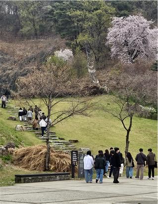 서울 마포구 복합문화공간 문화비축기지에서 도슨트 투어가 진행 중이다. [사진 서울시]
