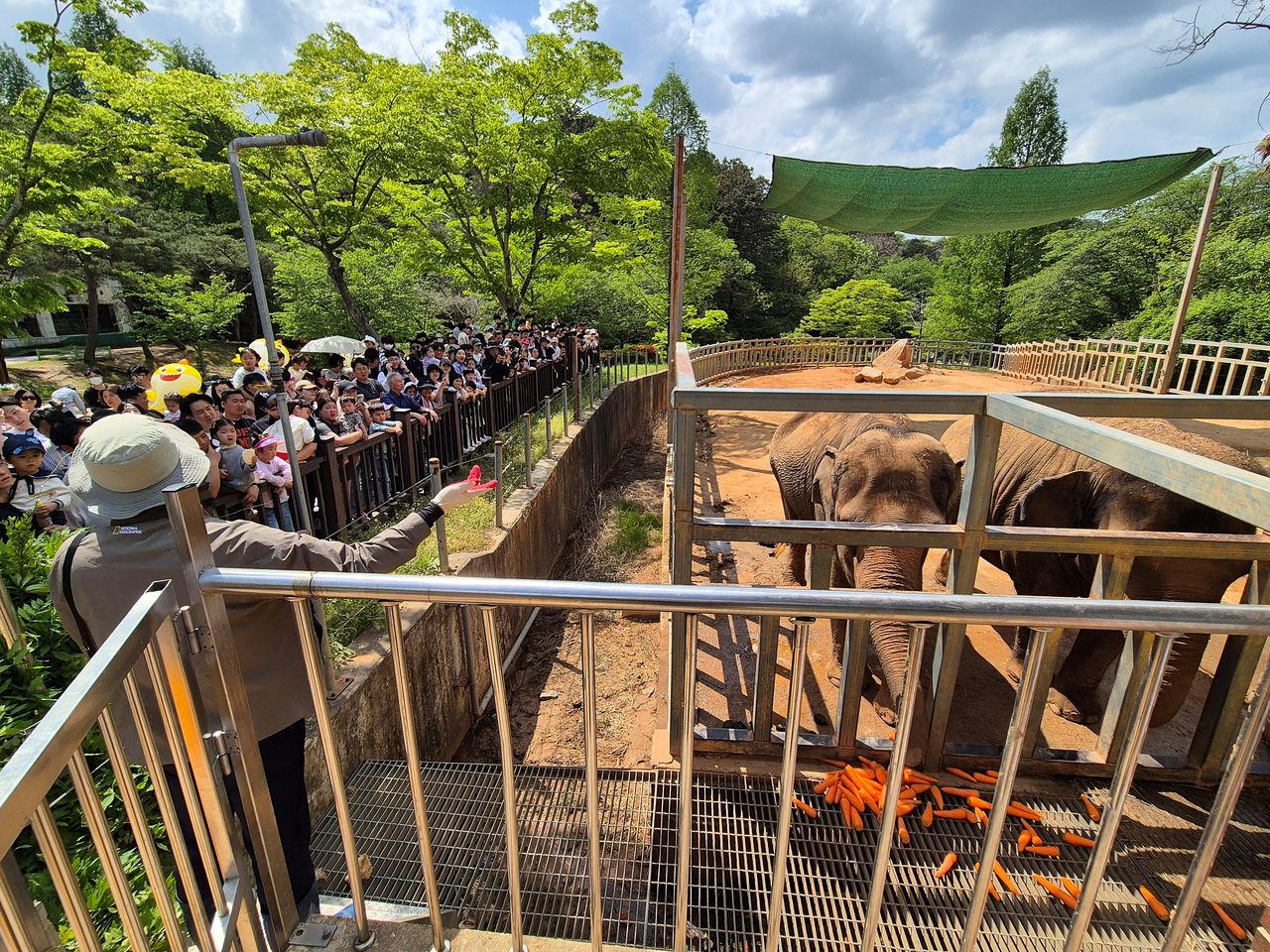 26일 오후 광주광역시 북구 우치동물원 코끼리사 앞에서 사육사가 방문객들에게 코끼리 모녀의 사연을 설명하고 있다. 황희규 기자