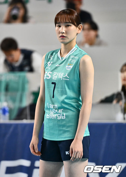 OSEN DB