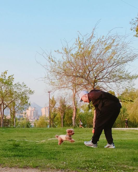 제리케이 SNS