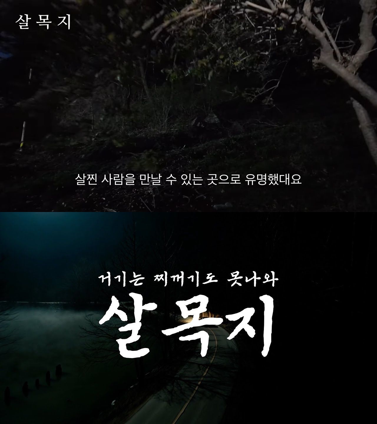 충남 예산군 공식 유튜브 채널의 ‘예산군 광시면에 살목지 있는 거 아세요?’(위)와 한국수자원공사 공식 유튜브 채널의 ‘살목지, 거기는 찌꺼기도 못 나와’(아래) 영상 캡처. 두 기관 모두 영화 '살목지'를 재치 있게 패러디하며 화제를 모았다. 사진 유튜브 지자체 패러디 영상 캡처