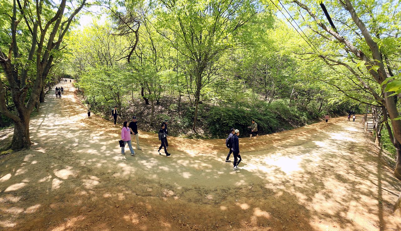 완연한 봄은 계족산 황톳길을 걷기에 가장 좋을 때다. 김성태 객원기자