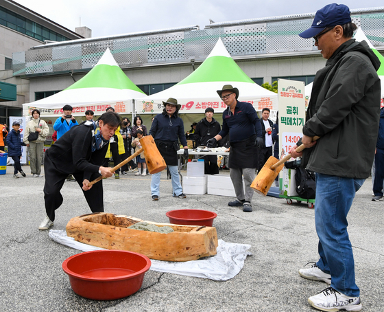 지난해 5월 강원 양구군 서천 레포츠공원에서 열린 '2025 청춘양구 곰취축제'에서 참가자들이 곰취 떡메치기를 체험하고 있다. [사진 양구군]