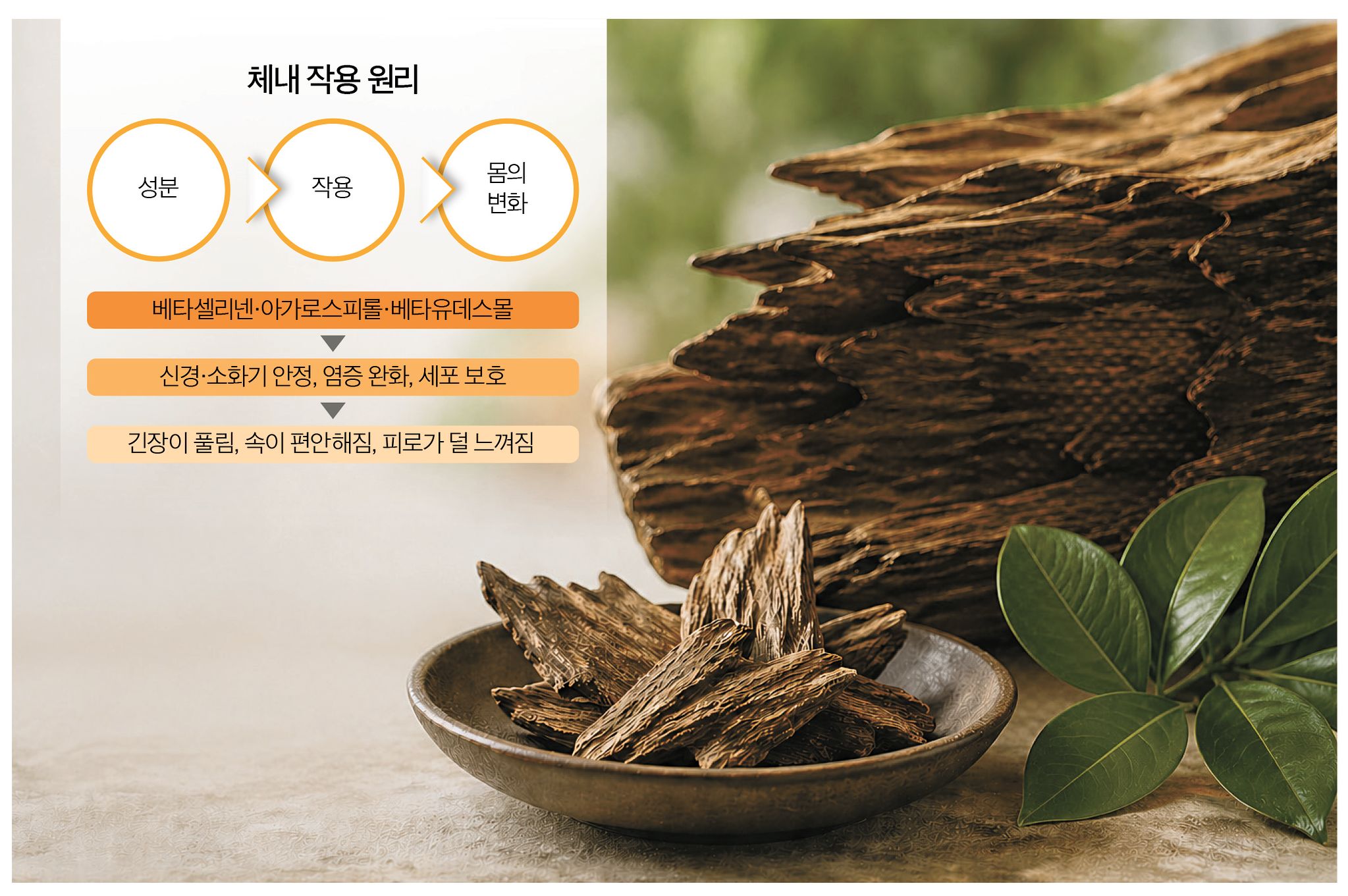 침향의 품질은 추출 기술과 유효 성분 함량에 따라 달라지므로 기술력이 검증된 제조사의 제품을 선택하는 것이 좋다. [챗GPT 생성 이미지]
