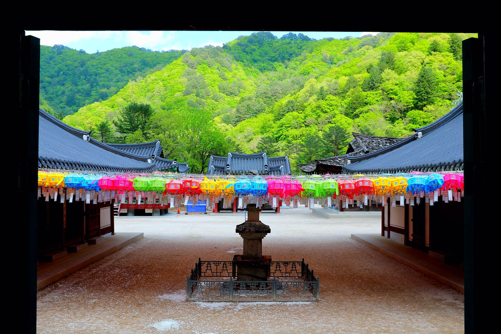 연합뉴스