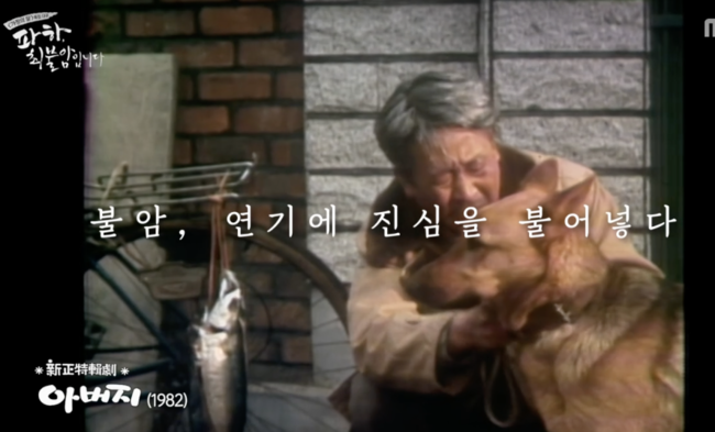 [사진]OSEN DB.