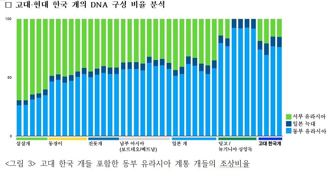  자료 국립가야문화유산연구소