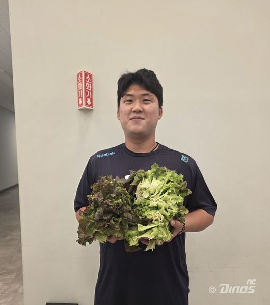 NC 다이노스 제공 