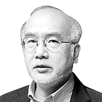 이준 미술비평가·부산비엔닐레 집행위원장