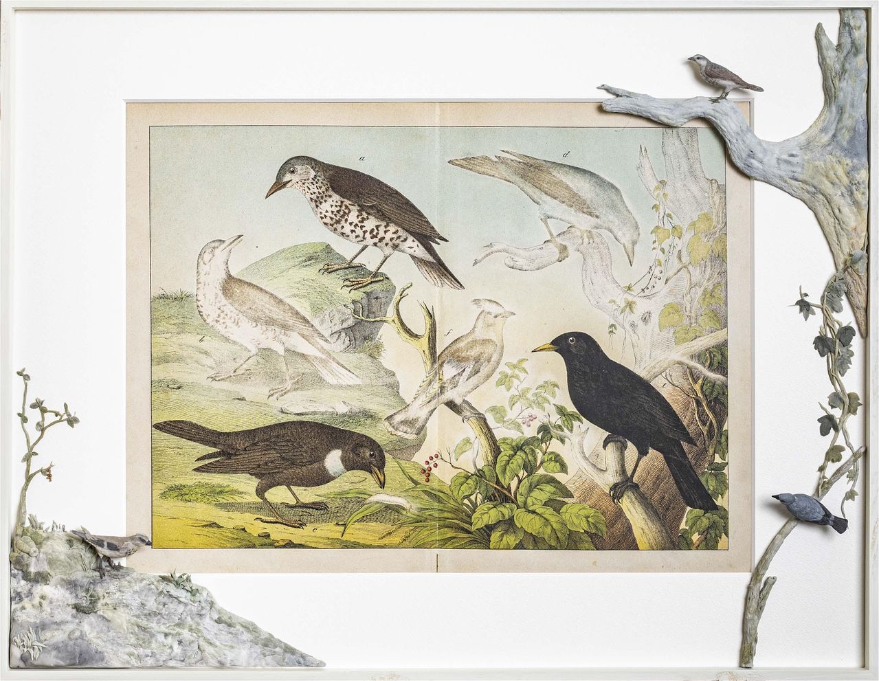제1회 하이브 아트페어에 참여하는 일본 TOKYO GALLERY + BTAP는 사야 이리에의 'Birds Dust (Passeriformes)'를 내놓는다. 사진 하이브 아트페어