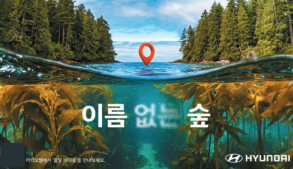 현대자동차는 2013년 한국이 세계 최초로 지정한 ‘바다식목일’을 계기로 전 세계 바다숲에 지명을 부여하고 지도를 구축하는 ‘이름 없는 숲’ 캠페인을 전개하고 있다. [사진 현대자동차]