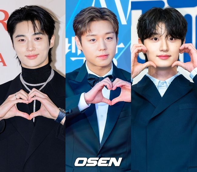 OSEN DB