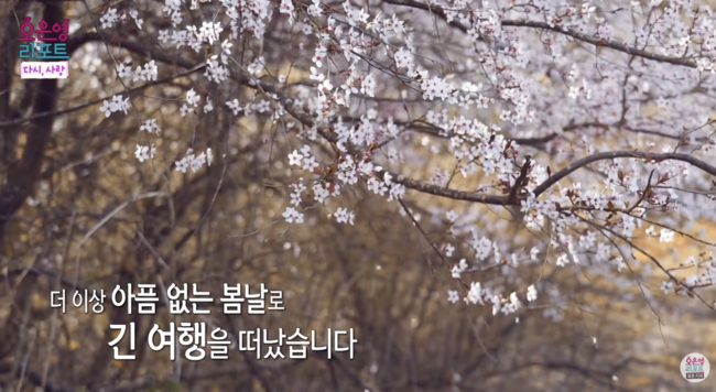 [사진]OSEN DB.