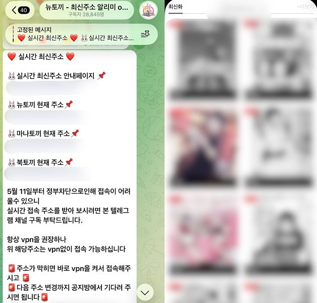국내 최대 웹툰 불법 공유 사이트인 ‘뉴토끼’가 정부의 ‘긴급차단 제도’ 이후에도 3만명 가까이 있는 텔레그램 채팅방에 새 사이트 주소를 공지하며 운영을 이어가고 있다(왼쪽). 오른쪽 사진은 ‘마나토끼(일본만화 불법 공유 사이트)’의 모습. 텔레그램 캡처