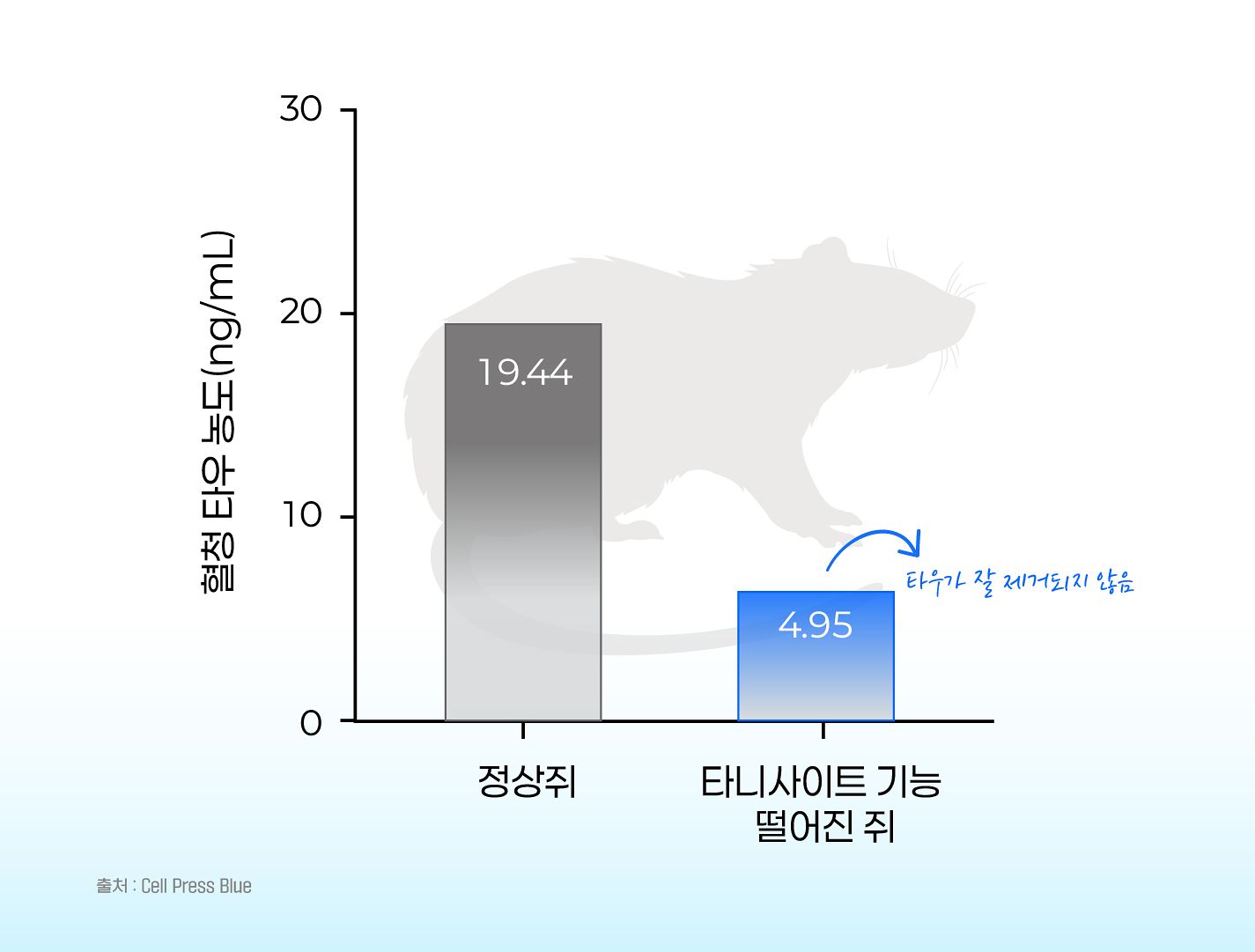 타니사이트가 일을 못 하게 하면 뇌 속 타우를 제때 처리하지 못하고 우리 뇌는 치매에 노출될 가능성이 높아진다. 그래픽 박지은.