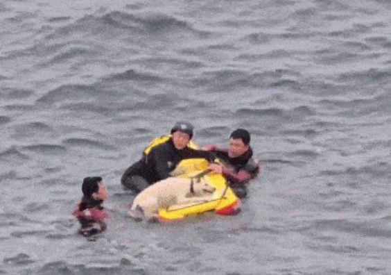 지난 27일 제주 서귀포시 토평동 소정방폭포 인근 해변에 빠진 반려견을 구조하는 해경. 제주 서귀포해양경찰서=연합뉴스