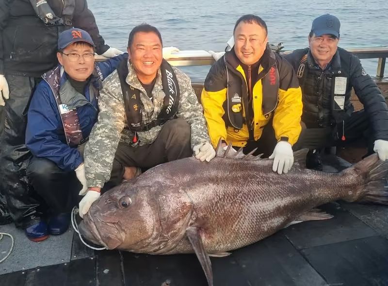 지난 1일 부산 용호만 인근 해상에서 길이 164㎝, 무게 77㎏의 돗돔을 낚은 뒤 용호어촌계 낚싯배에 승선한 일행들이 기념촬영을 하고 있다. 사진 의료전문채널 온닥터TV 