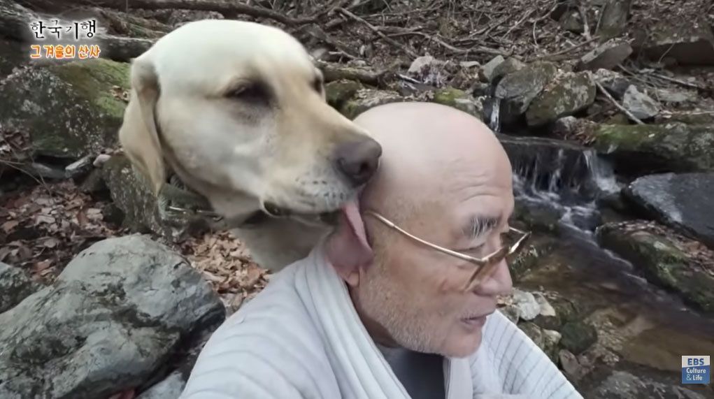삼보 대종사와 반려견 보리. 사진 EBS교양 유튜브 캡처