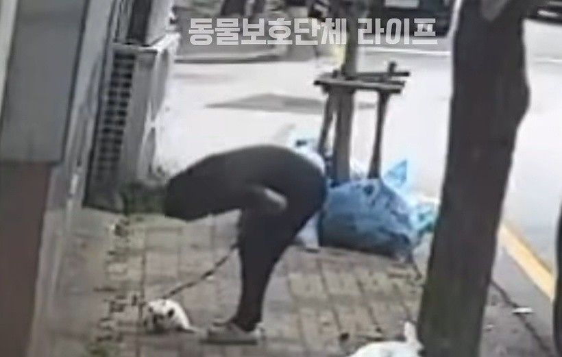 연합뉴스