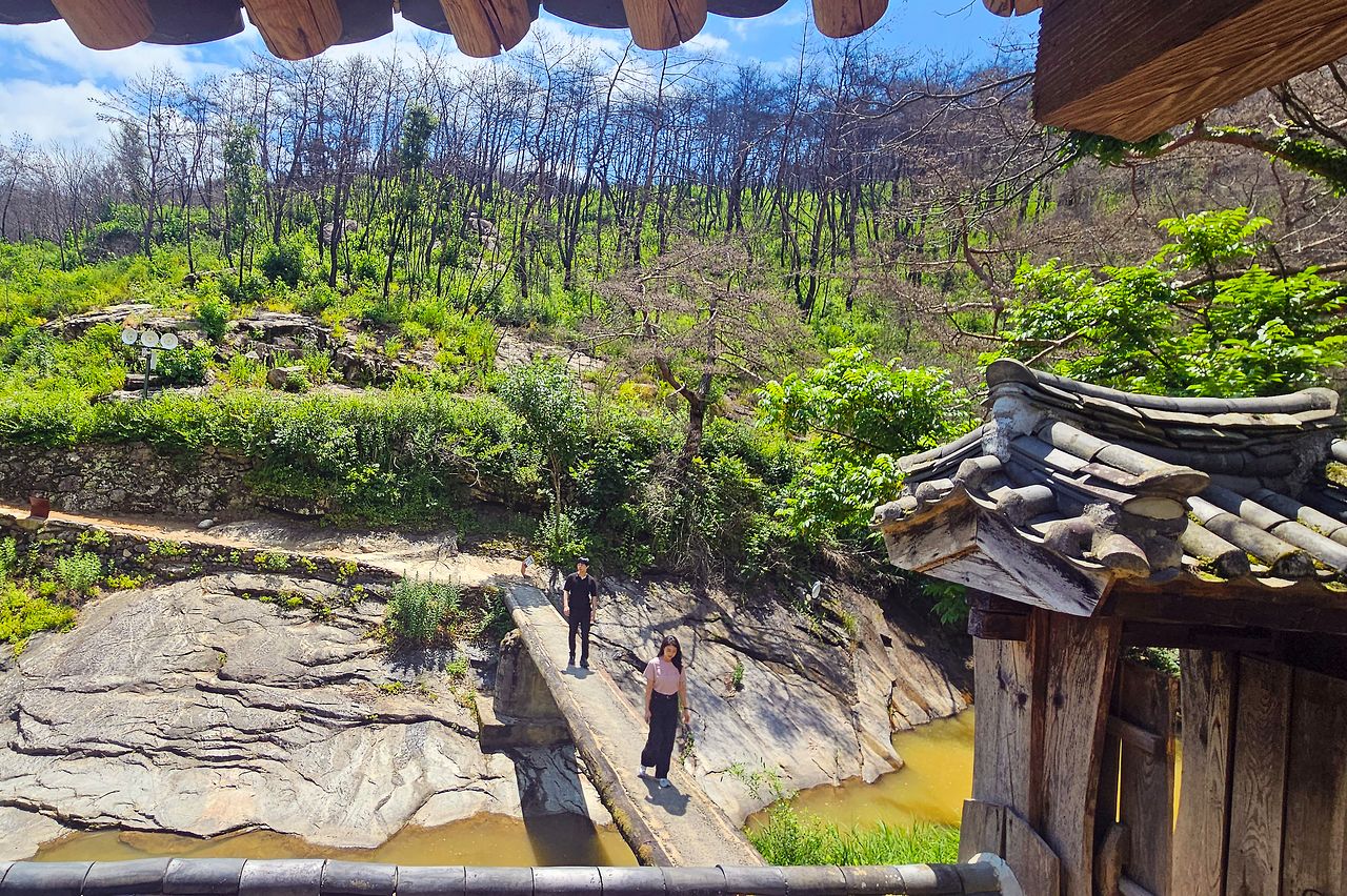 지난해 3월 산불 때 새까맣게 탔던 만휴정 주변 숲이 1년 만에 푸른색을 띠었다. 