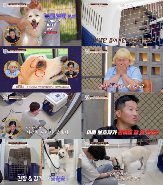 [사진]OSEN DB.