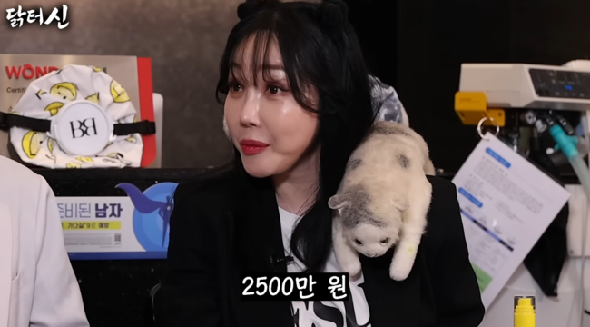 '닭터신' 영상