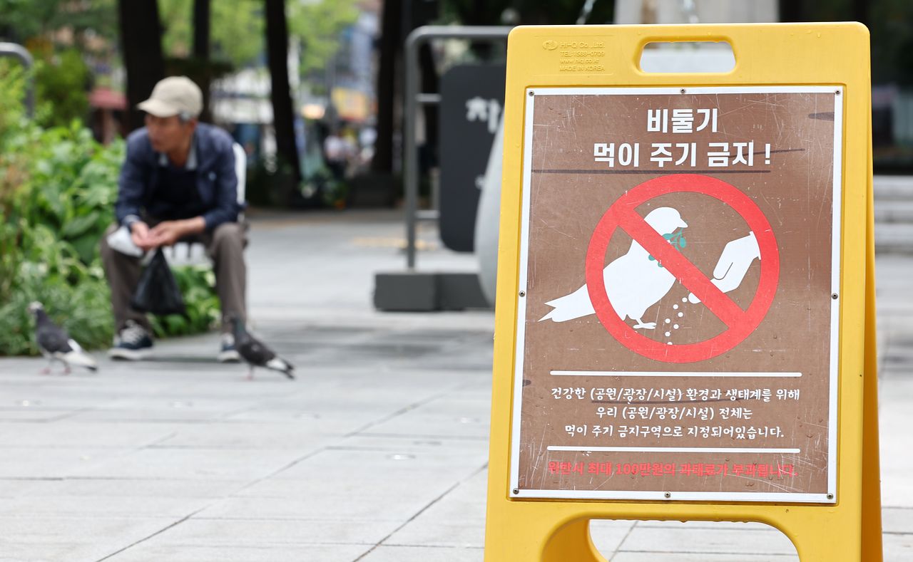 지난달 1일 서울 종로구 광화문광장 모습. 비둘기 먹이주기 금지구역을 알리는 간판이 세워져 있다. 뉴스1