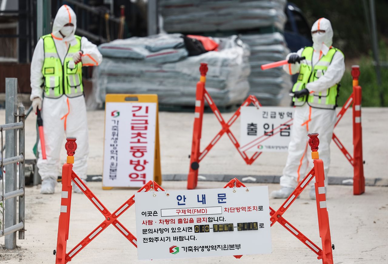 경북에서 11년 만에 구제역이 발생한 지난 3일 경북 예천군 한 한우농가가 구제역 발생으로 통제되고 있다. 연합뉴스