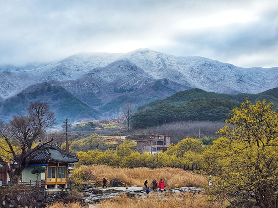 지리산의 설경과 산 아래 노란 산수유 꽃이 어우러진 구례의 모습. 임세웅씨가 직접 찍은 사진이다. 사진제공=임세웅